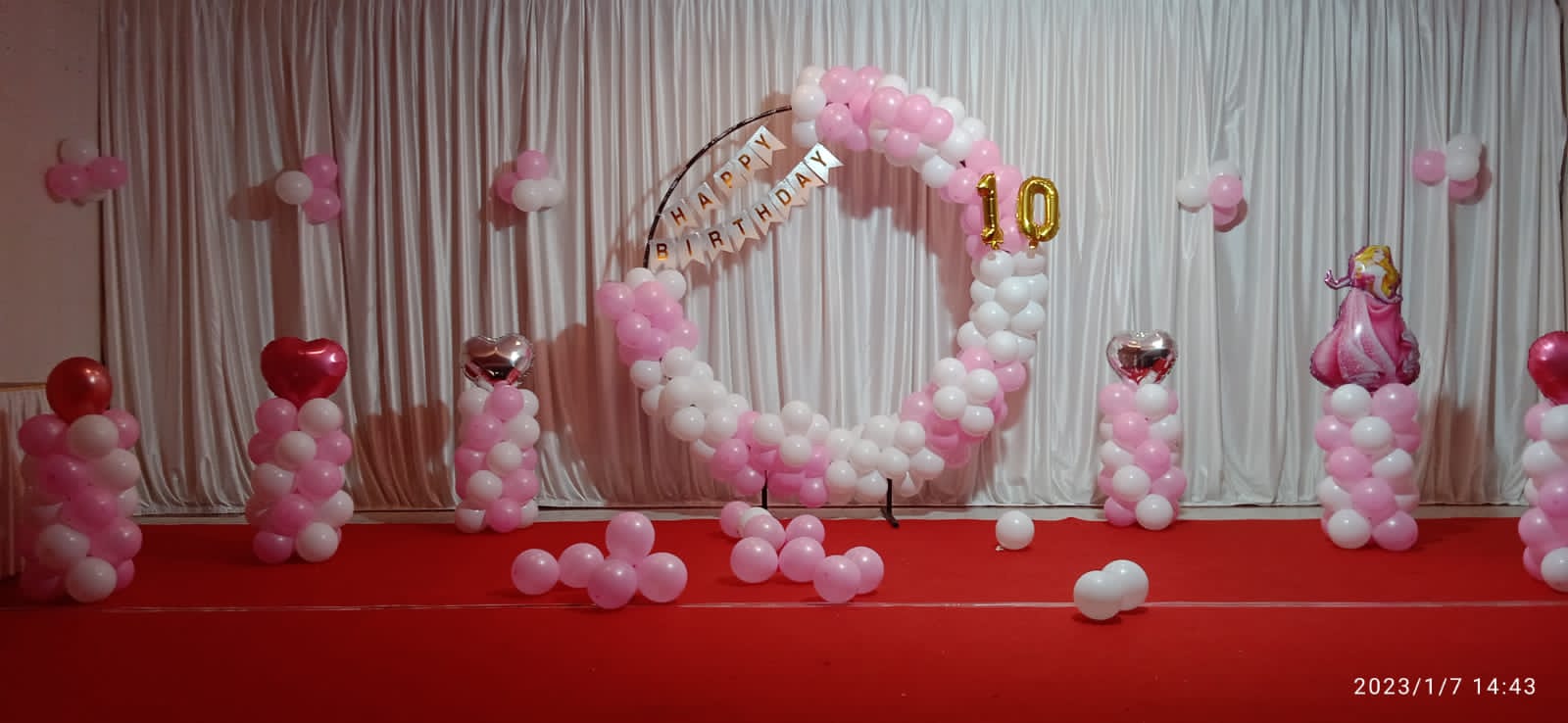Pink Princess Birthday Backdrop
